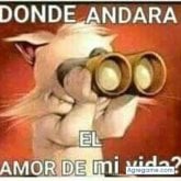 Foto de perfil de Djyoe