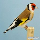 Hassan4791 chico soltero en Valencia