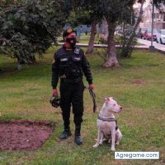 Gianfranco Gerardo Namuche Con