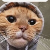 Mujeres buena onda. Lindo fachero. Salir