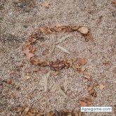 seluloide chica soltera en Balsicas