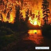 Chatear con henryarriaza de Iquique