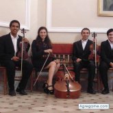 luchotr3000 chico soltero en Fray Bentos