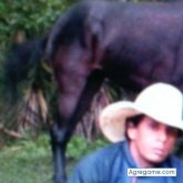 Foto de perfil de FernandoMN69