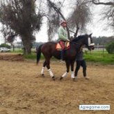 Foto de perfil de jeanpaul8135