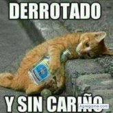 alacransitoperez7621 chico soltero en Sulphur Springs