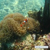 Chatear con michelescanuela de Francia