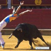 parruca chico soltero en Nava Del Rey