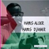 hamsalger