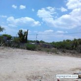 fidelmartinez7204 chico soltero en Santiago De Anaya