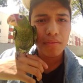 Nuevas amistades
Lo que pueda suceder.