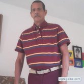 Jolusevi2654 foto #17