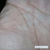 Sergio220575 chico soltero en Isidro Casanova