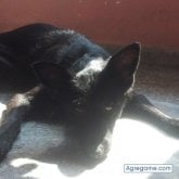 YaimaMartin chica casada en Miramar