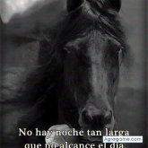 Chatear con franciscojavier9577 de Istmina