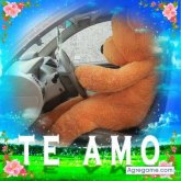 Foto de perfil de llonaetamani