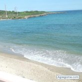 dariobaide chico soltero en Santa Bárbara