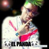 Foto de perfil de pandaartista