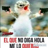 Wilber Quispe Zeballo