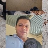 leonardomejia62767