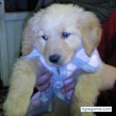 flash09 chico soltero en Mar Del Plata