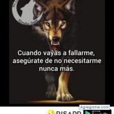 Ver fotos más de Wily1245