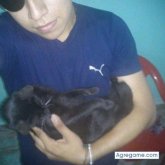 Foto de perfil de Edson456