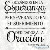 andresmambuca8000 foto #19