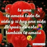 Allad chico soltero en Heredia