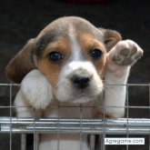 Chatear con juansebastian3994 de Calahorra