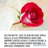 Foto de perfil de albarran
