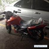 yiyo04 chico soltero en San Cristóbal