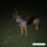 Chatear con Derruido de Madrid