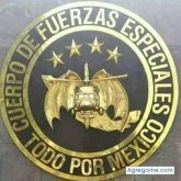 Gallo Gómez