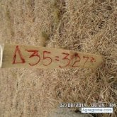 Chatear con helo05 de Itagüí