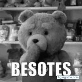 13594089 chico soltero en San Carlos