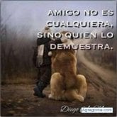 Foto de perfil de jesusflores8251