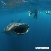 Renedelosangeles foto #7