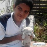 Foto de perfil de joseulises3349