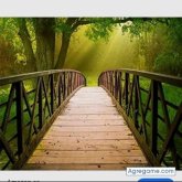 leodiaz3471 chico soltero en Guatemala