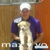 cristianvargas7367