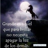 Chatear con wilsonportillo de Capitán Miranda