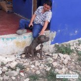 Busco chatear. Sinsero. El deporte salir