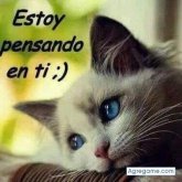 albalisa12 chica soltera en Sabana Perdida