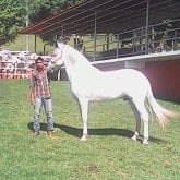 Obrero. Busco chatear. Busco Mujeres De