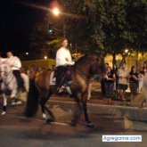 samgts chico soltero en Murcia