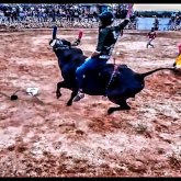 Hombres Solteros en Colón Querétaro De Arteaga (Queretaro)