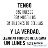 maros1973 chico soltero en Santa Cruz De Tenerife