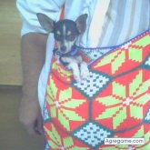 cyberrumbo chico soltero en 