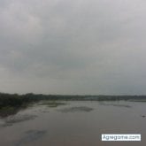 Foto de perfil de Yovanysegovia